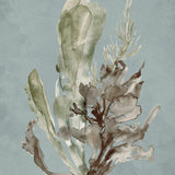 Margate Coral I (Canvas) Large (903mm W x 1109mm H)