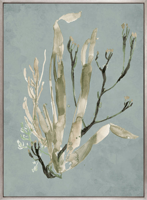 Margate Coral II (Canvas)