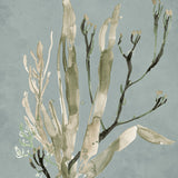 Margate Coral II (Canvas) Large (903mm W x 1109mm H)