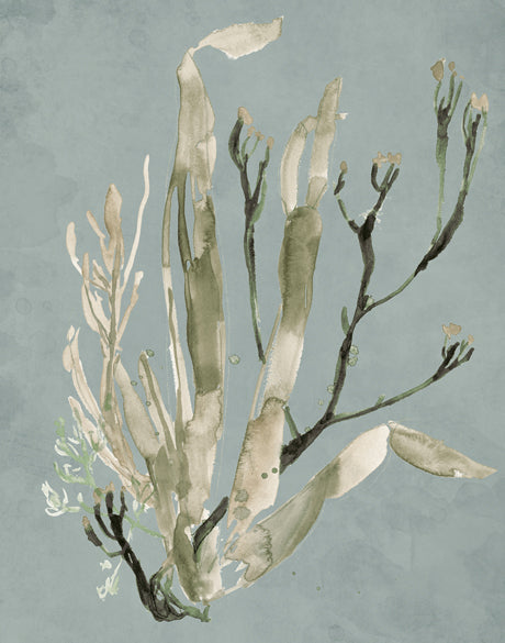 Margate Coral II (Canvas)