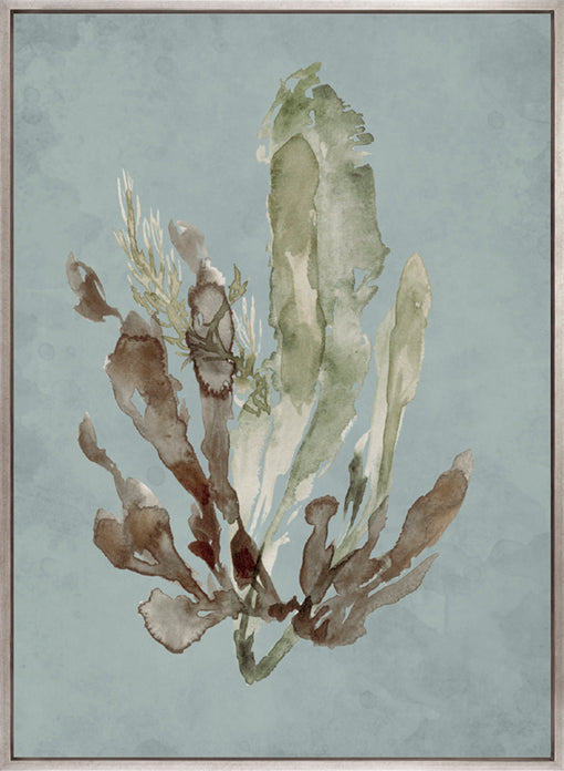 Margate Coral III (Canvas)