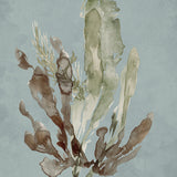 Margate Coral III (Canvas) Large (903mm W x 1109mm H)