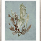 Margate Coral III