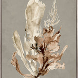 Margate Coral IV (Canvas) Large (903mm W x 1109mm H)