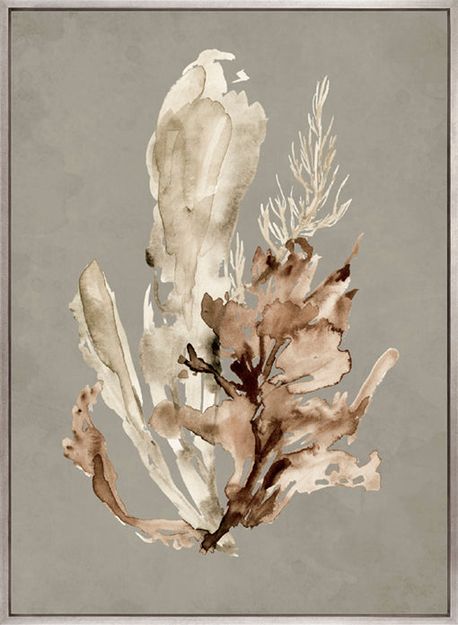 Margate Coral IV (Canvas)