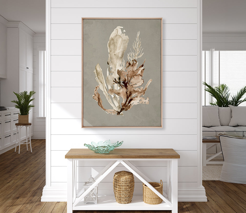 Margate Coral IV (Canvas)