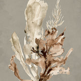 Margate Coral IV (Canvas) Large (903mm W x 1109mm H)