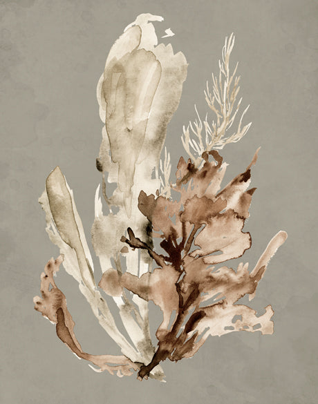 Margate Coral IV (Canvas)