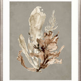 Margate Coral IV