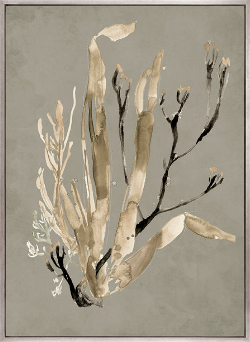 Margate Coral V (Canvas)