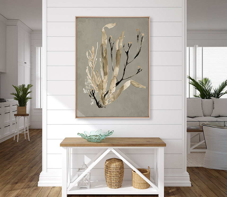 Margate Coral V (Canvas)