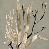 Margate Coral V (Canvas) Large (903mm W x 1109mm H)