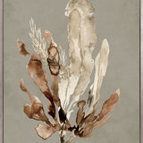 Margate Coral VI (Canvas) Large (903mm W x 1109mm H)