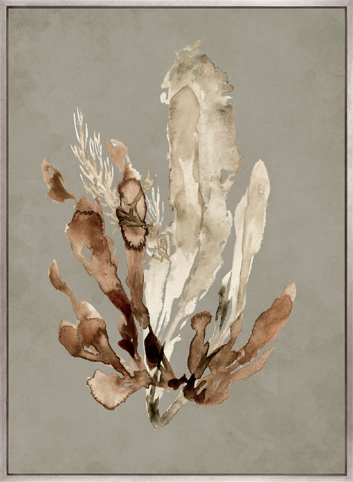 Margate Coral VI (Canvas)