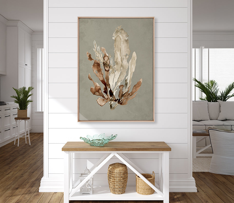 Margate Coral VI (Canvas)