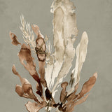 Margate Coral VI (Canvas) Large (903mm W x 1109mm H)