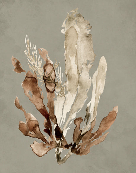 Margate Coral VI (Canvas)