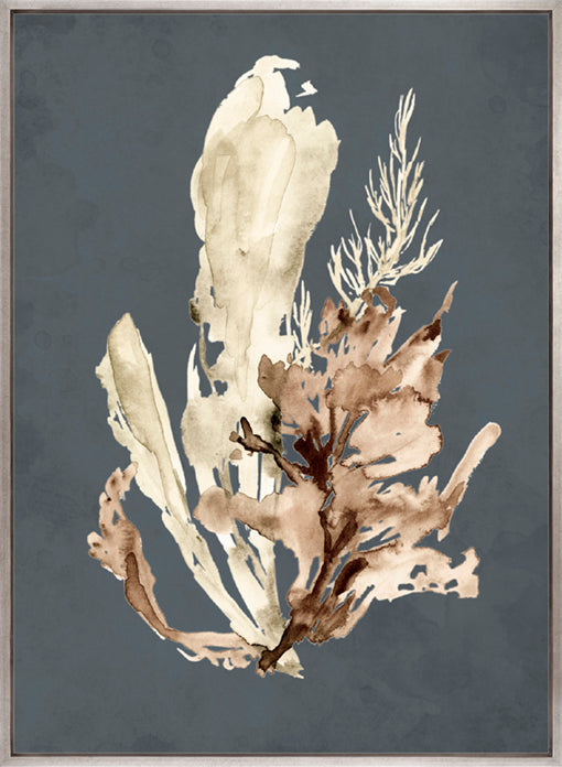 Margate Coral VII (Canvas)