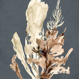 Margate Coral VII (Canvas) Large (903mm W x 1109mm H)