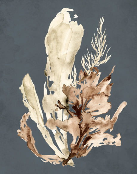 Margate Coral VII (Canvas)