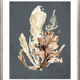 Margate Coral VII