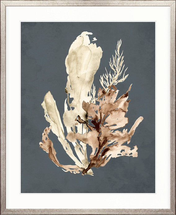 Margate Coral VII