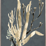 Margate Coral VIII (Canvas) Large (903mm W x 1109mm H)