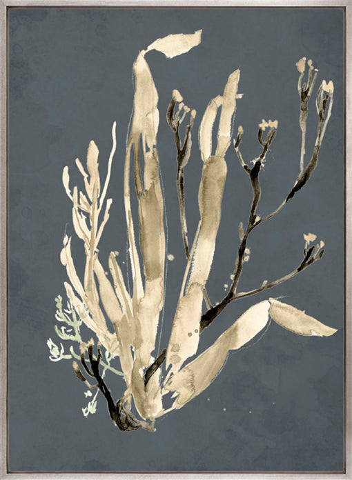 Margate Coral VIII (Canvas)