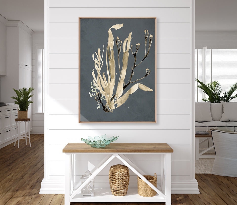 Margate Coral VIII (Canvas)