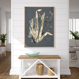 Margate Coral VIII (Canvas) Large (903mm W x 1109mm H)