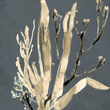 Margate Coral VIII (Canvas) Large (903mm W x 1109mm H)