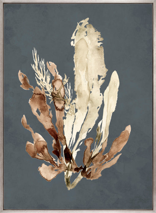 Margate Coral IX (Canvas)