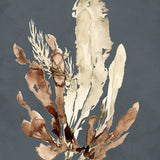 Margate Coral IX (Canvas) Large (903mm W x 1109mm H)