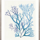 Mariner Drift I Small (465mm W x 560mm H) / Standard Clear Glass