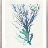 Mariner Drift II Small (465mm W x 560mm H) / Standard Clear Glass
