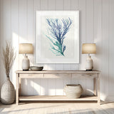Mariner Drift II Small (465mm W x 560mm H) / Standard Clear Glass