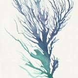 Mariner Drift II Small (465mm W x 560mm H) / Standard Clear Glass