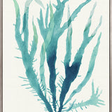 Mariner Drift III (Canvas)