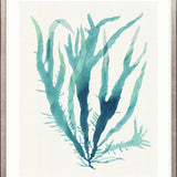 Mariner Drift III Small (465mm W x 560mm H) / Standard Clear Glass