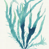 Mariner Drift III Small (465mm W x 560mm H) / Standard Clear Glass