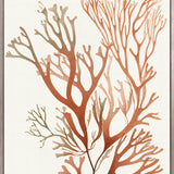 Mariner Drift IV (Canvas)