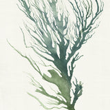Mariner Drift V (Canvas) Large (903mm W x 1109mm H)
