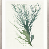 Mariner Drift V Small (465mm W x 560mm H) / Standard Clear Glass
