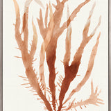 Mariner Drift VI (Canvas) Large (903mm W x 1109mm H)