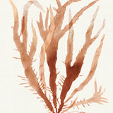 Mariner Drift VI (Canvas) Large (903mm W x 1109mm H)
