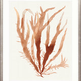 Mariner Drift VI Small (465mm W x 560mm H) / Standard Clear Glass