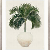 Palm Beauty I