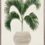 Palm Beauty III (Canvas)