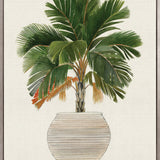 Palm Beauty V (Canvas)