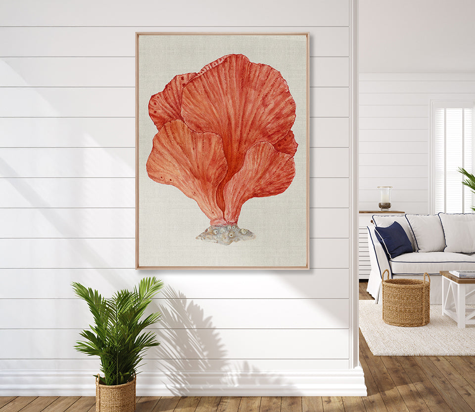 Coral Splendour (Red) II (Canvas)